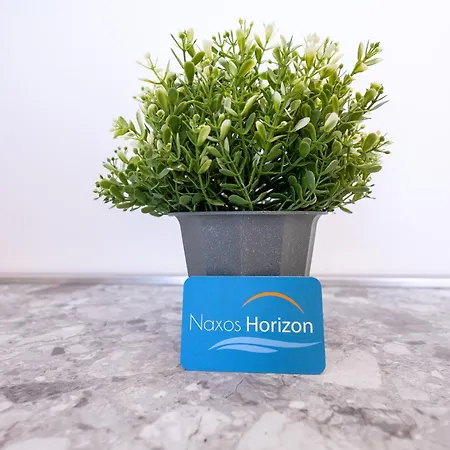 Naxos Horizon Fronte Mare דירה גיארדיני נאקסוס